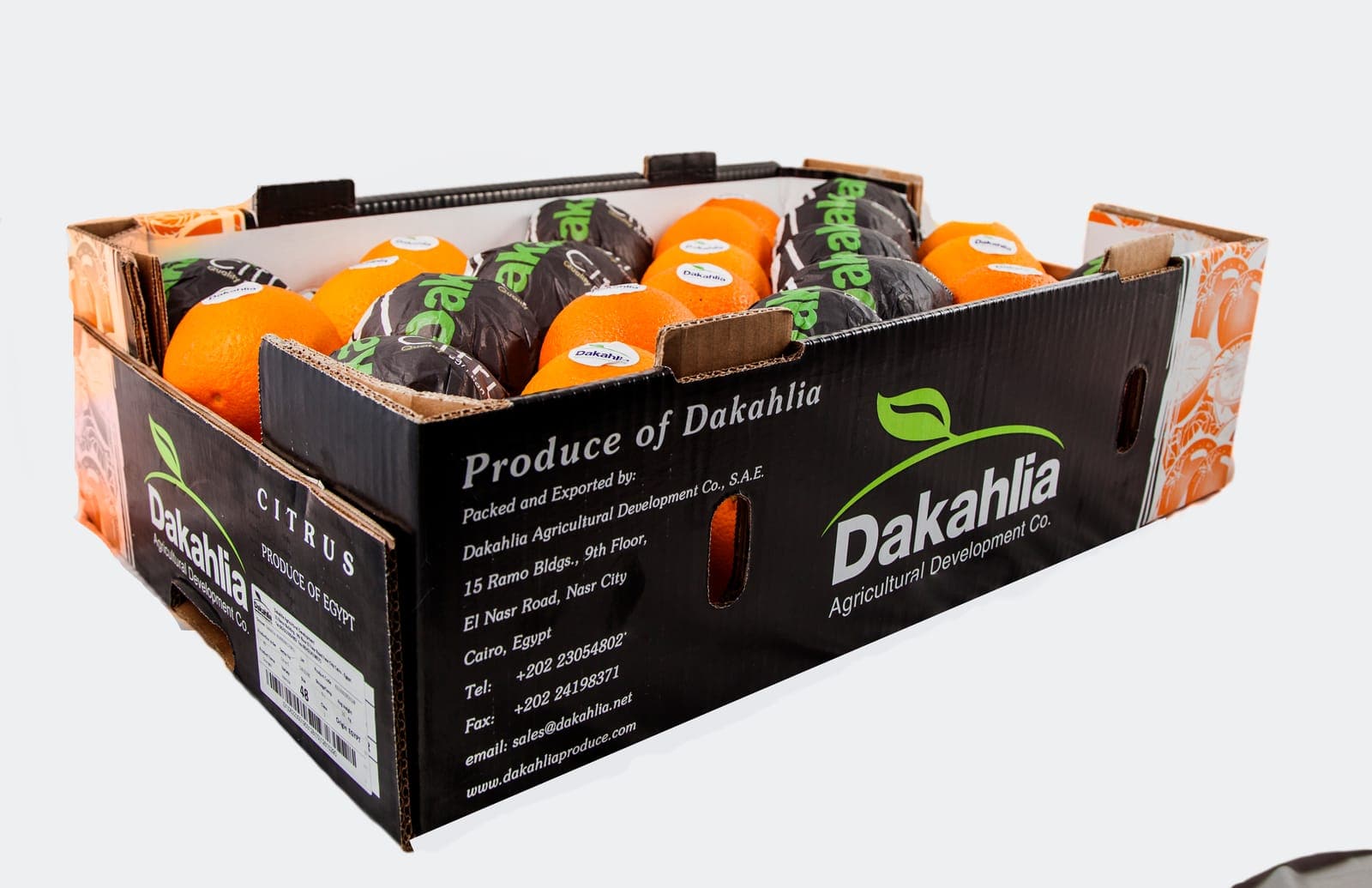 Valencia oranges in a Dakahlia open-top export carton