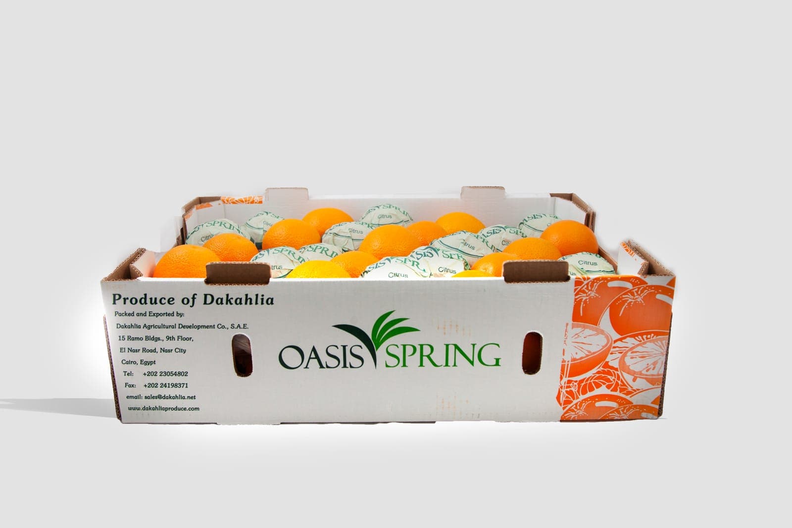Valencia oranges in an Oasis Spring open-top carton