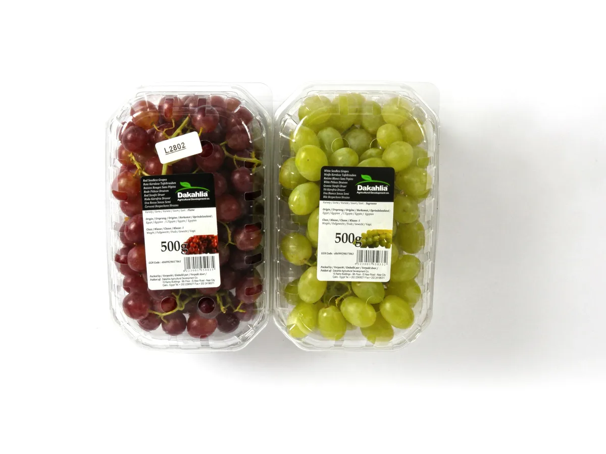 Red & green 500 g punnets