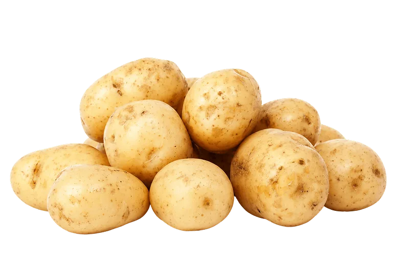 Freshly harvested loose Dakahlia potatoes
